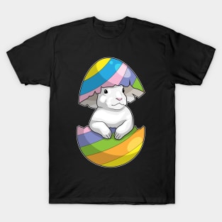 Bunny Easter Easter egg T-Shirt